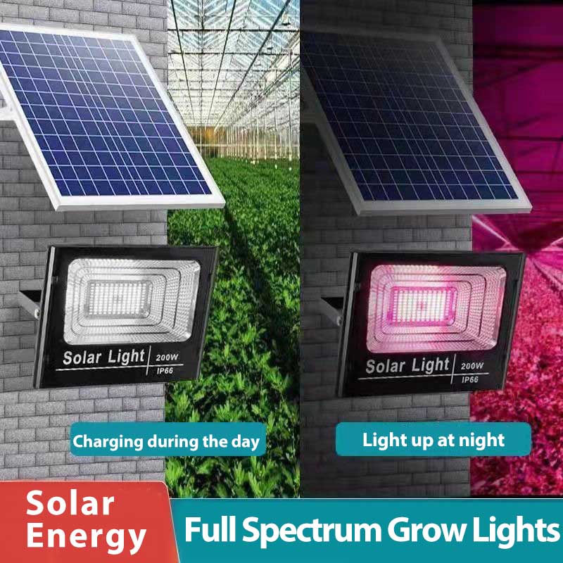 Renewable Energy Project - Plantas led movidas a energia solar