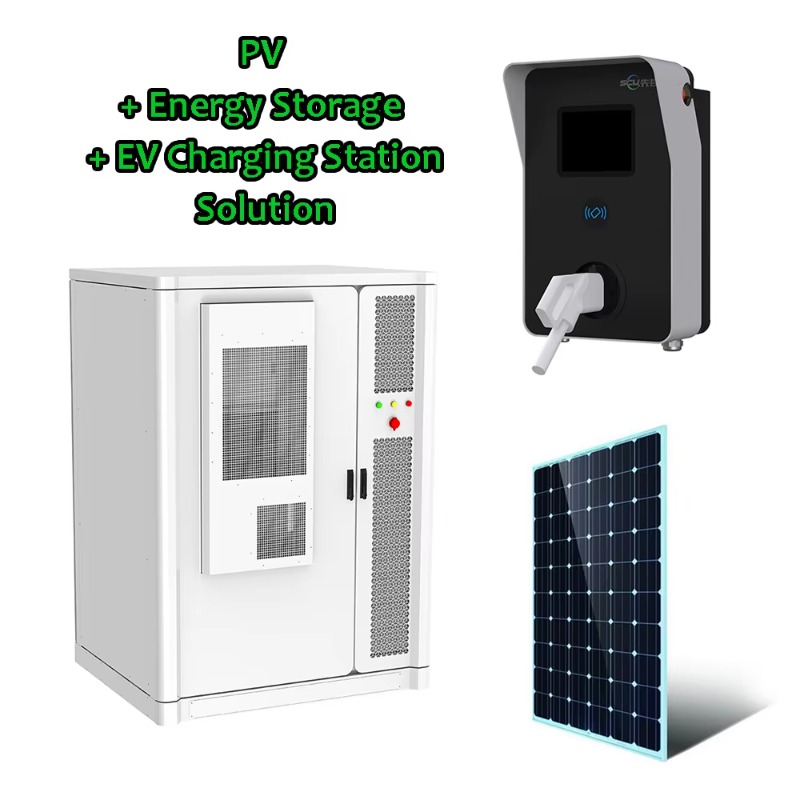 Gabinete de Armazenamento de E - Renewable Energy Solutions avaliação e preço
