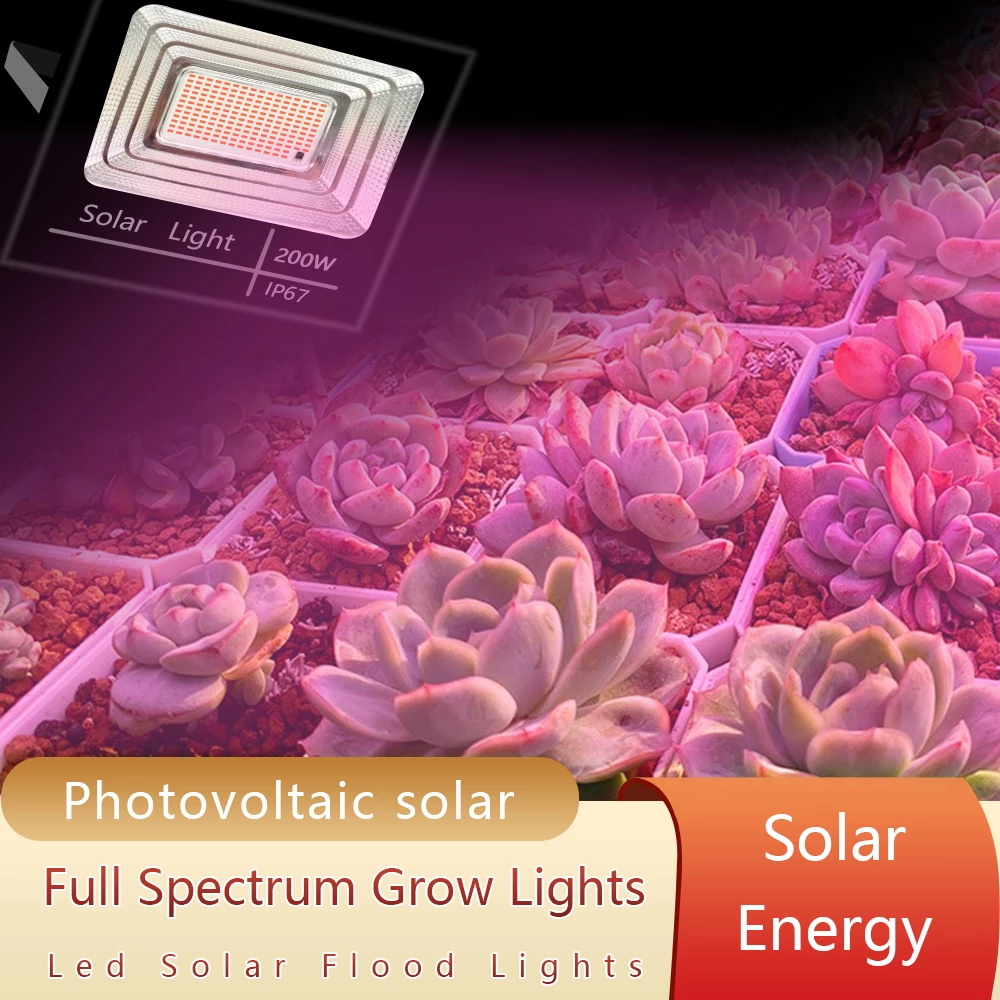Plantas led movidas a energia  - Renewable Energy Project avaliação e preço