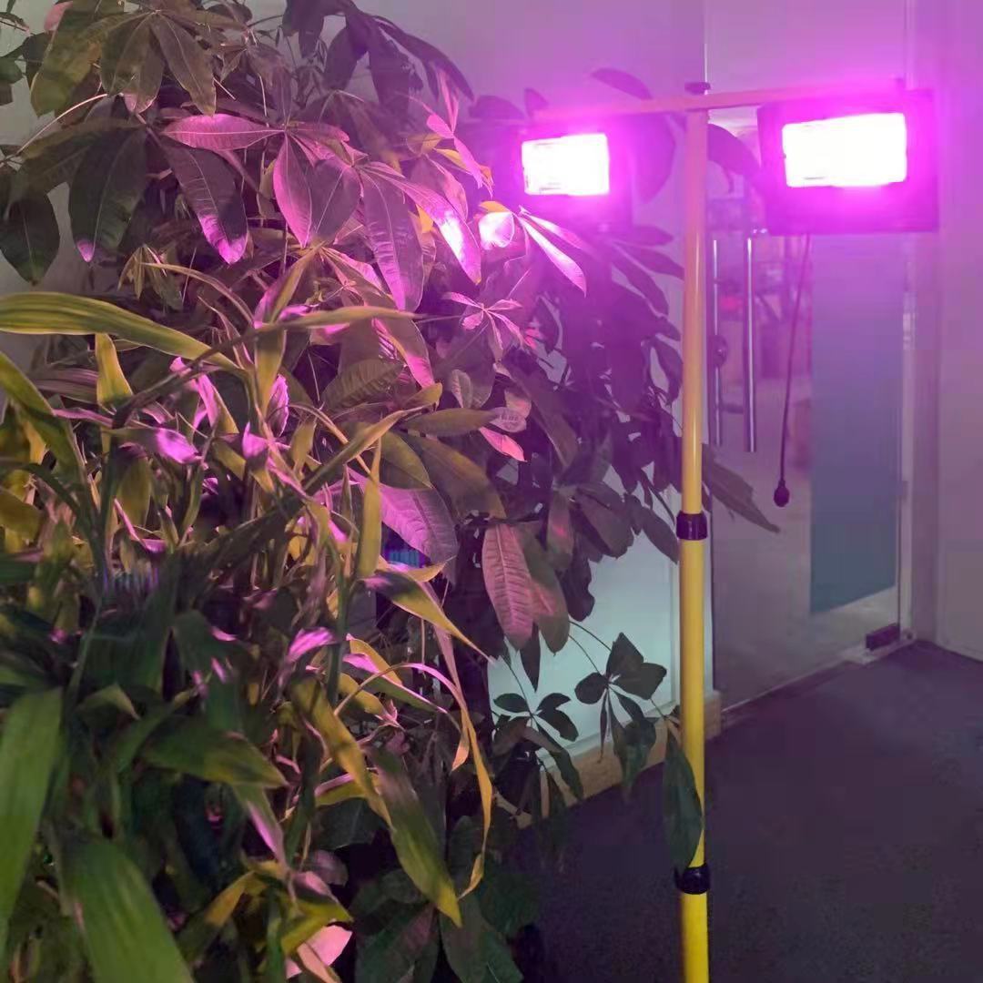 Plantas led movidas a energia  - Renewable Energy Project avaliação e preço